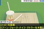【画像】マクドナルドさん、全店で紙製ストローに移行へ