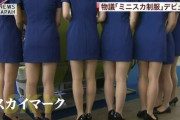 【画像】スカイマークのCAの制服えちすぎたwtwtwtw