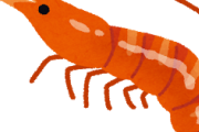 【驚愕】エビって完全に虫だよなｗｗｗｗｗｗｗｗｗｗｗｗｗｗｗｗｗｗｗｗｗ