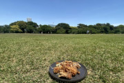 【画像】今から公園で唐揚げ食うわｗｗｗｗｗ