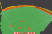 【徹底討論】球場ごとに外野フェンスまでの距離とか違うのおかしいだろ