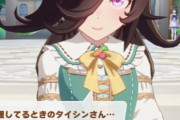 【ウマ娘】ライスが誰をどう想ったかどうかはそれぞれの自由です。