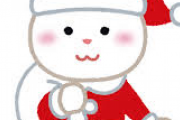 【朗報】この巨胸で可愛すぎるサンタさんは誰だと話題に