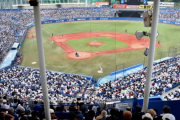ジャニーズ事務所、ヤクルトスワローズと中日に謝罪
