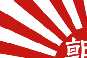 韓国人タレント「日本が私を拷問しても旭日旗を下ろせと言うだろう」と激怒へ  [8/16]