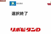 西武2024年ドラフト総まとめ