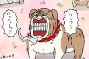 【FGO】レジラ犬イラスト！！　妖怪にいそうですねｗ