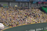 札幌ドームの阪神ファンの正体ｗｗｗ
