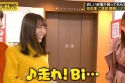 【乃木坂46】北野日奈子、みり愛に寄っかかるところが良い！