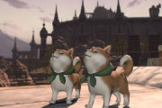 【FF14】忍者さん、「忍犬インターセプター」実装を希望！「拙者、わんちゅーると骨っ子の用意できてるでござるよ」