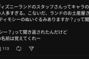 【悲報】ディズニーのキャストさん、キャラクター名を覚えてなくて叩かれるｗｗｗｗ