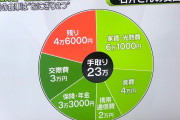 【食費】手取り23万円の食費4万円は贅沢なのか？　ネットで議論が起きてる