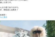 【速報】サンライズが声明「候補者がガンダム風コスプレで選挙活動していましたがバンナムは認可していません」山本代表、公式に怒られる