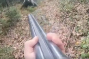 【動画】ショットガン持ち、ヒグマと遭遇してビビってしまう