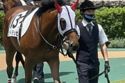 【新馬戦】ビターグラッセは6着…『血統的にもこれから良くなってくると思いますので応援よろしくお願いします！！』