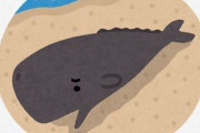 【クジラ】大阪湾で死んだ32トンのクジラ埋められる　費用は8000万円の半分以下　死骸は来年以降に掘り起こされる予定