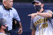 阪神　矢野監督、井上は「今すぐ１軍でというふうには考えてない」