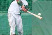 阪神遠藤が柵越え９本「いいパンチ力」平田２軍監督