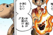 ルフィ「やっぱメリーに火をつけるなんて俺は無理だ、頼むワイ」ワイ「おかのした」