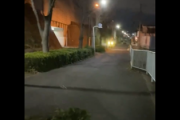 【動画】川口市が無法地帯すぎる、新たな動画が話題「されではクルド人が運転する車をご覧ください」