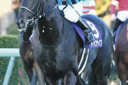 札幌記念2着トップナイフは横山典で菊花賞へ