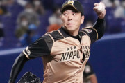 日ハム宮西、貫禄８球締め　ＯＰ戦無失点で開幕へ