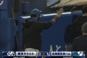 日ハム延長11回サヨナラ負け　北山が村上に2ラン被弾