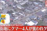 秋田県がクマに占領される…秋田県知事は自衛隊派遣を要請する為に防衛省へ