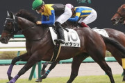 【競馬予想】第43回新潟大賞典(G3) /2021