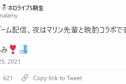26日夜、ラミィとマリン晩酌コラボ！
