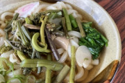 山菜うどんの美味しさに目覚めた
