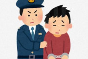 改造したポケモンを販売した男が逮捕される…『生活費を稼ぐためにやった』