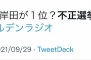 【定期】不正選挙騒ぎ、始まる…