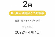 ワイ「支払いpaypayで」paypay「当たりぃぃぃいいいいい！イェェェェエエエイ！(ポイント+0.5%)」