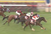 【競馬】ネオムターフC前売りディアドラが単勝前売り一番人気に