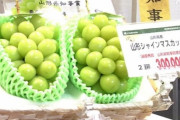 開発は日本がして韓国・中国が大金を稼ぐ…日本産農産物の流出被害1000億円超＝韓国の反応