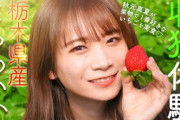 いちごの生産量が50年以上No.1の栃木県で新品種「とちあいか」を秋元真夏が収穫します！