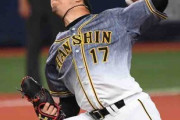 阪神・岩貞、圧巻５回パーフェクト　２０日巨人戦へ仕上がり完ぺき