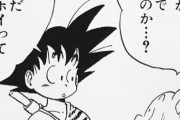 【ドラゴンボール 】鳥山明どころかお前らすらもう忘れてそうなドラゴンボールの設定ｗｗｗｗｗ