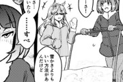 【ウマ娘】？？？「雪かきよりもっといい方法あるんだけど」