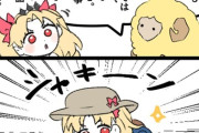 【FGO】エレちゃんのために海の装備を用意したドゥムジ！！　山に行くのか？ｗ