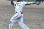 【最後の切り札】阪神タイガースに遂にロハス１軍降臨
