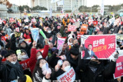 韓国人にとってデモは祭なんだ　～　「かまぼこ串、1本5000ウォン？」…弾劾集会でぼったくりの露店に批判＝韓国