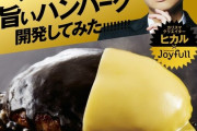 【朗報】ｶﾘｽﾏYouTuber・ヒカルさん、ハンバーグ弁当を発売！