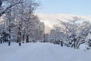【非常事態宣言】アメリカ北東部でも大雪…ニューヨークで「30cm」積雪予想
