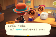あつまれどうぶつの森 初めてのカブで危うく大損するところだった話