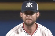 ヤクルト・ランバードさん、球審に激怒で草wwwwwwwwwww