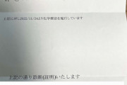 【反撃】膵臓癌カップルYouTuber、アンチの「詐病だろｗ」という声を受け診断書公開