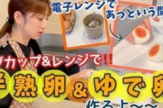【天才】小倉優子「卵にひびを入れて、アルミホイルで包んで、レンジで10分温めれば簡単に茹で卵ができるよ」