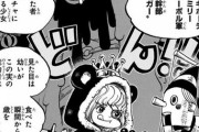 【ONEPIECE -ワンピース】ワンピースで「もはや何でもありか！！！」って思った悪魔の実と言えば？？？？？